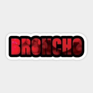 BRONCHO Bad Behavior Sticker